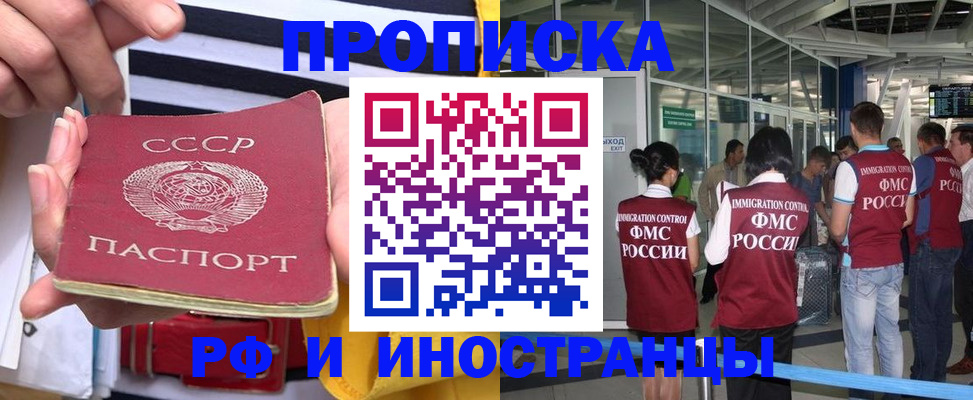 прописка 2025 в Краснознаменске